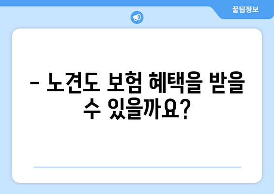 노견도 보장받을 수 있을까? | 펫보험 가입 전 꼭 알아야 할 사항