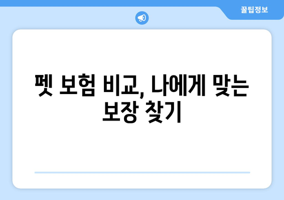 노령견도 OK! 든든한 보호막, 노령견 펫 보험 가입 가이드 | 펫보험, 노령견 건강, 보험 비교