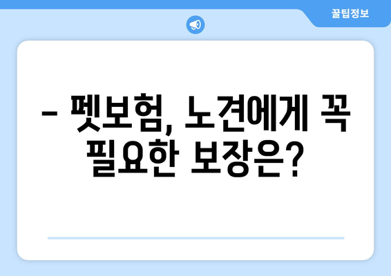 노견도 보장받을 수 있을까? | 펫보험 가입 전 꼭 알아야 할 사항