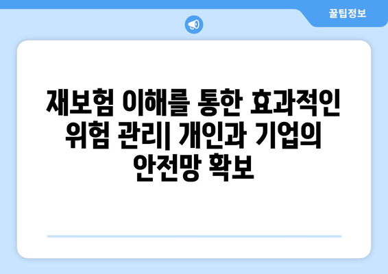 재보험의 이해| 개념, 종류, 그리고 활용 | 보험, 위험 관리, 금융