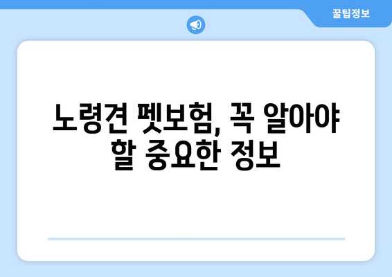 노령견도 보장받는 펫보험!  나이 걱정 없는 보험 가입 가이드 | 노령견, 펫보험 비교, 보장 범위, 가입 조건