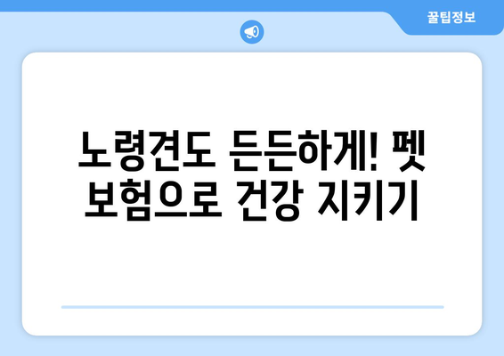 노령견도 OK! 든든한 보호막, 노령견 펫 보험 가입 가이드 | 펫보험, 노령견 건강, 보험 비교