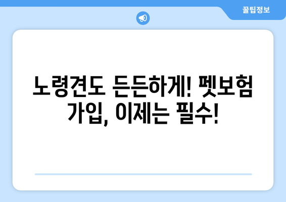 노령견도 OK! 든든한 보장, 펫보험 비교 가이드 | 노령견 펫보험, 보험료 비교, 보장 범위, 추천