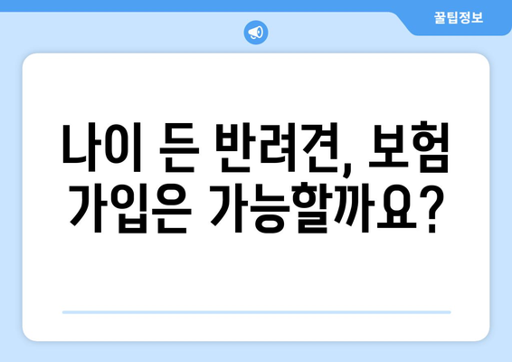 노령견도 OK! 든든한 보호막, 노령견 펫 보험 가입 가이드 | 펫보험, 노령견 건강, 보험 비교