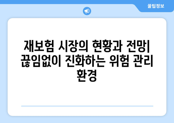 재보험의 이해| 개념, 종류, 그리고 활용 | 보험, 위험 관리, 금융