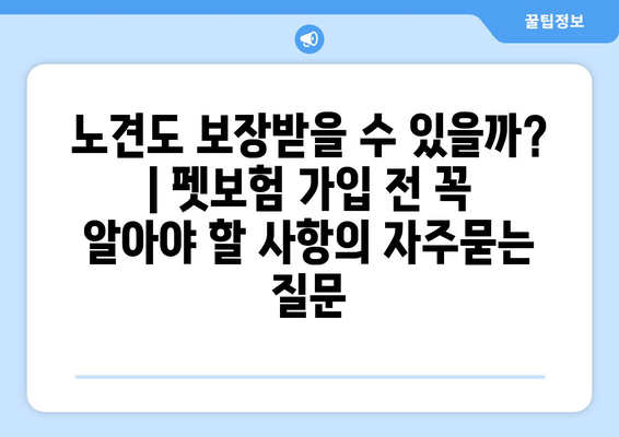 노견도 보장받을 수 있을까? | 펫보험 가입 전 꼭 알아야 할 사항