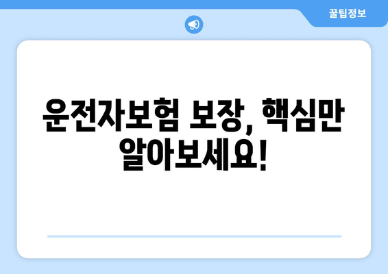 운전자보험 보장 핵심 정리| 나에게 꼭 필요한 보장은? | 운전자보험, 보험료, 보장내용, 비교분석