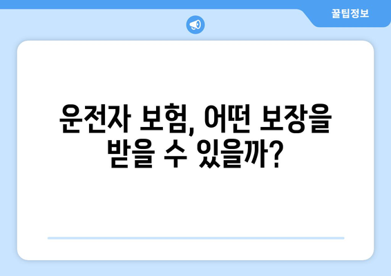 운전자 보험, 꼭 필요할까요? 보장 내용 상세 분석 | 자동차보험, 운전자보험 비교, 책임보험