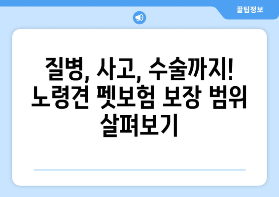 노령견도 OK! 든든한 보장, 펫보험 비교 가이드 | 노령견 펫보험, 보험료 비교, 보장 범위, 추천