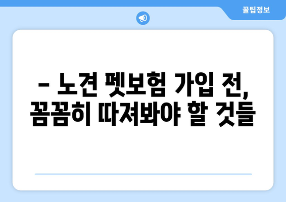 노견도 보장받을 수 있을까? | 펫보험 가입 전 꼭 알아야 할 사항