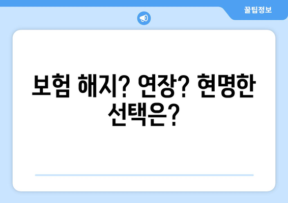 15. 보험 만기|  내 보험, 어떻게 관리해야 할까요? | 보험 만기 관리, 보험 해지, 연장, 보험금 청구