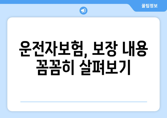 운전자보험 보장 핵심 정리| 나에게 꼭 필요한 보장은? | 운전자보험, 보험료, 보장내용, 비교분석