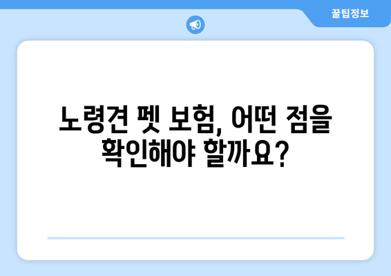 노령견도 OK! 든든한 보호막, 노령견 펫 보험 가입 가이드 | 펫보험, 노령견 건강, 보험 비교