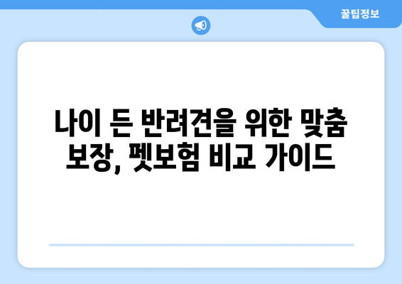 노령견도 OK! 든든한 보장, 펫보험 비교 가이드 | 노령견 펫보험, 보험료 비교, 보장 범위, 추천