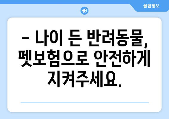 노견도 보장받을 수 있을까? | 펫보험 가입 전 꼭 알아야 할 사항