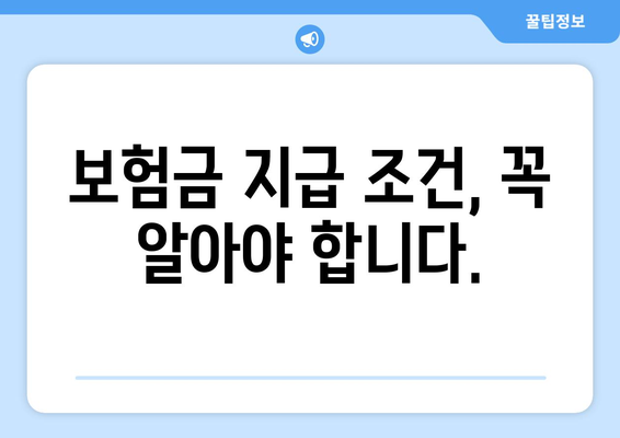 사망 정기보험 가입 전 필수 체크리스트| 놓치면 후회할 7가지 | 보험료 비교, 보장 범위, 가입 조건