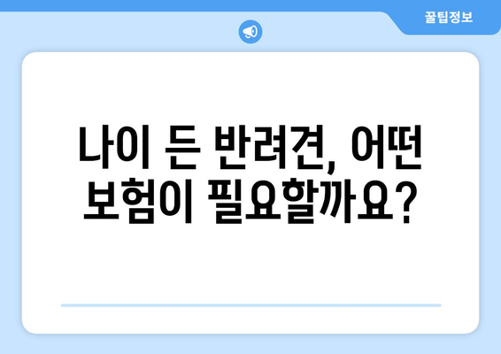 노령견도 보장받는 펫보험!  나이 걱정 없는 보험 가입 가이드 | 노령견, 펫보험 비교, 보장 범위, 가입 조건