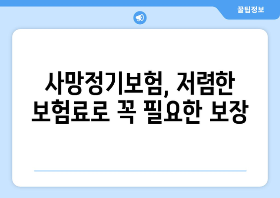 사망정기보험 vs 종신보험| 나에게 맞는 보험은? | 보장 비교, 장단점 분석, 보험료 계산