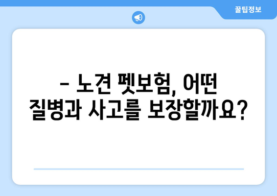 노견도 보장받을 수 있을까? | 펫보험 가입 전 꼭 알아야 할 사항