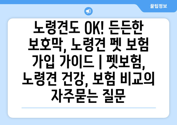 노령견도 OK! 든든한 보호막, 노령견 펫 보험 가입 가이드 | 펫보험, 노령견 건강, 보험 비교