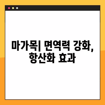 마가목 효능과 건강하게 챙겨 먹는 방법| 효능, 부작용, 복용법 총정리 | 마가목, 건강, 효능, 부작용, 복용법, 차, 즙