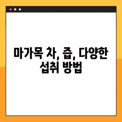 마가목 효능과 건강하게 챙겨 먹는 방법| 효능, 부작용, 복용법 총정리 | 마가목, 건강, 효능, 부작용, 복용법, 차, 즙