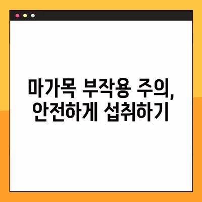 마가목 효능과 건강하게 챙겨 먹는 방법| 효능, 부작용, 복용법 총정리 | 마가목, 건강, 효능, 부작용, 복용법, 차, 즙