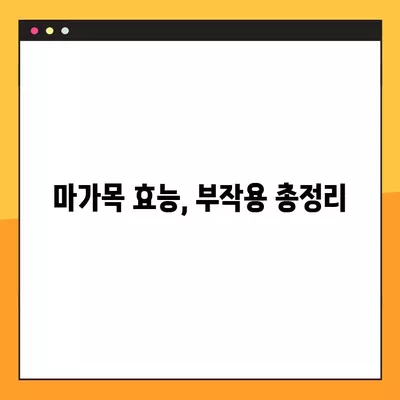 마가목 효능과 건강하게 챙겨 먹는 방법| 효능, 부작용, 복용법 총정리 | 마가목, 건강, 효능, 부작용, 복용법, 차, 즙