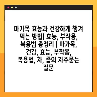 마가목 효능과 건강하게 챙겨 먹는 방법| 효능, 부작용, 복용법 총정리 | 마가목, 건강, 효능, 부작용, 복용법, 차, 즙