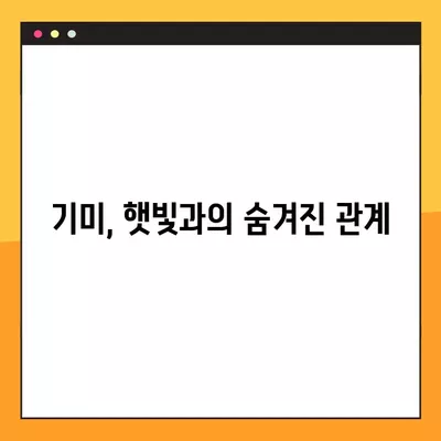 기미, 얼굴에 왜 생길까요? | 원인, 종류, 예방법 총정리