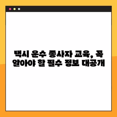 택시운수종사자교육, 궁금한 점 한 번에 해결하기! | 필수 정보, 교육 과정, 자격증, 면허, 시험, 준비 팁