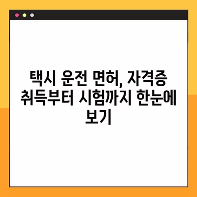 택시운수종사자교육, 궁금한 점 한 번에 해결하기! | 필수 정보, 교육 과정, 자격증, 면허, 시험, 준비 팁