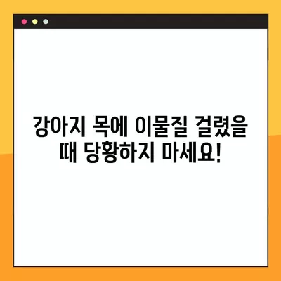 강아지 목에 이물질 걸렸을 때? 하임리히법 & 증상 완벽 정리 | 응급처치, 위급상황, 반려견