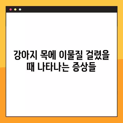 강아지 목에 이물질 걸렸을 때? 하임리히법 & 증상 완벽 정리 | 응급처치, 위급상황, 반려견