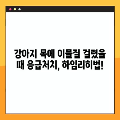 강아지 목에 이물질 걸렸을 때? 하임리히법 & 증상 완벽 정리 | 응급처치, 위급상황, 반려견