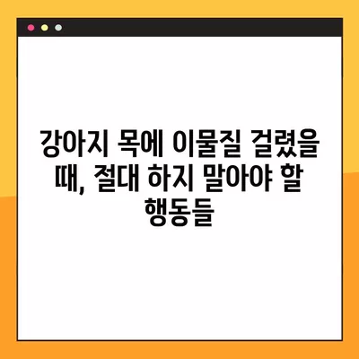 강아지 목에 이물질 걸렸을 때? 하임리히법 & 증상 완벽 정리 | 응급처치, 위급상황, 반려견