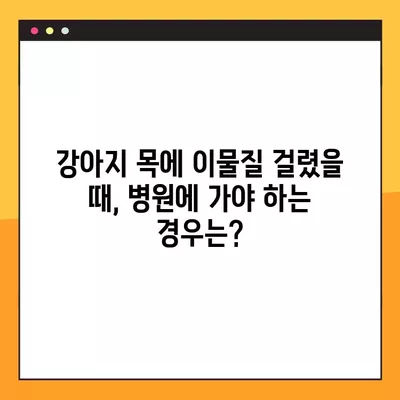 강아지 목에 이물질 걸렸을 때? 하임리히법 & 증상 완벽 정리 | 응급처치, 위급상황, 반려견