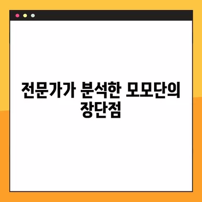 모모단 가격, 성분, 후기, 부작용 완벽 정리 | 솔직한 사용 후기와 전문가 분석