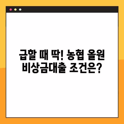 농협 올원 비상금대출 2024년 완벽 가이드| 조건, 한도, 부결사유, 신청방법 총정리! | 비상금, 대출, 금리, 농협, 올원, 신용대출