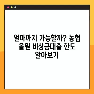 농협 올원 비상금대출 2024년 완벽 가이드| 조건, 한도, 부결사유, 신청방법 총정리! | 비상금, 대출, 금리, 농협, 올원, 신용대출