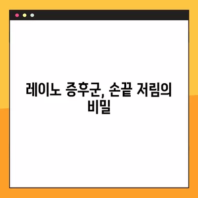 손끝 저림, 손가락 색 변화? 레이노 증후군 의심 증상과 관리법 | 레이노 증후군, 손 저림, 손가락 변색, 원인, 치료, 관리