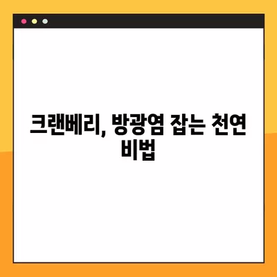 크랜베리, 여성 방광염 증상 완화에 효과적인 이유 9가지 | 방광염, 여성 건강, 천연 치료