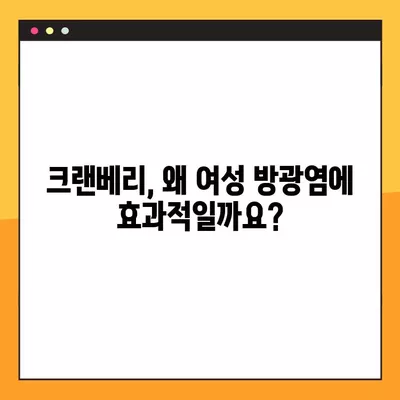 크랜베리, 여성 방광염 증상 완화에 효과적인 이유 9가지 | 방광염, 여성 건강, 천연 치료