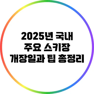 2025년 국내 주요 스키장 개장일과 팁 총정리