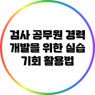 검사 공무원 경력 개발을 위한 실습 기회 활용법