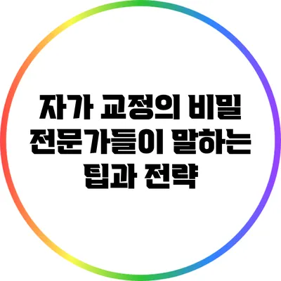 자가 교정의 비밀: 전문가들이 말하는 팁과 전략