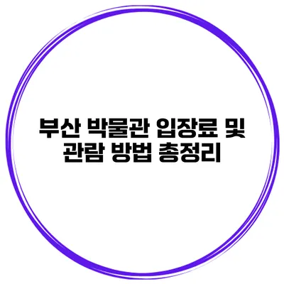 부산 박물관 입장료 및 관람 방법 총정리